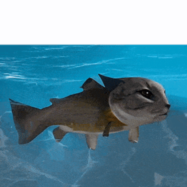 blub